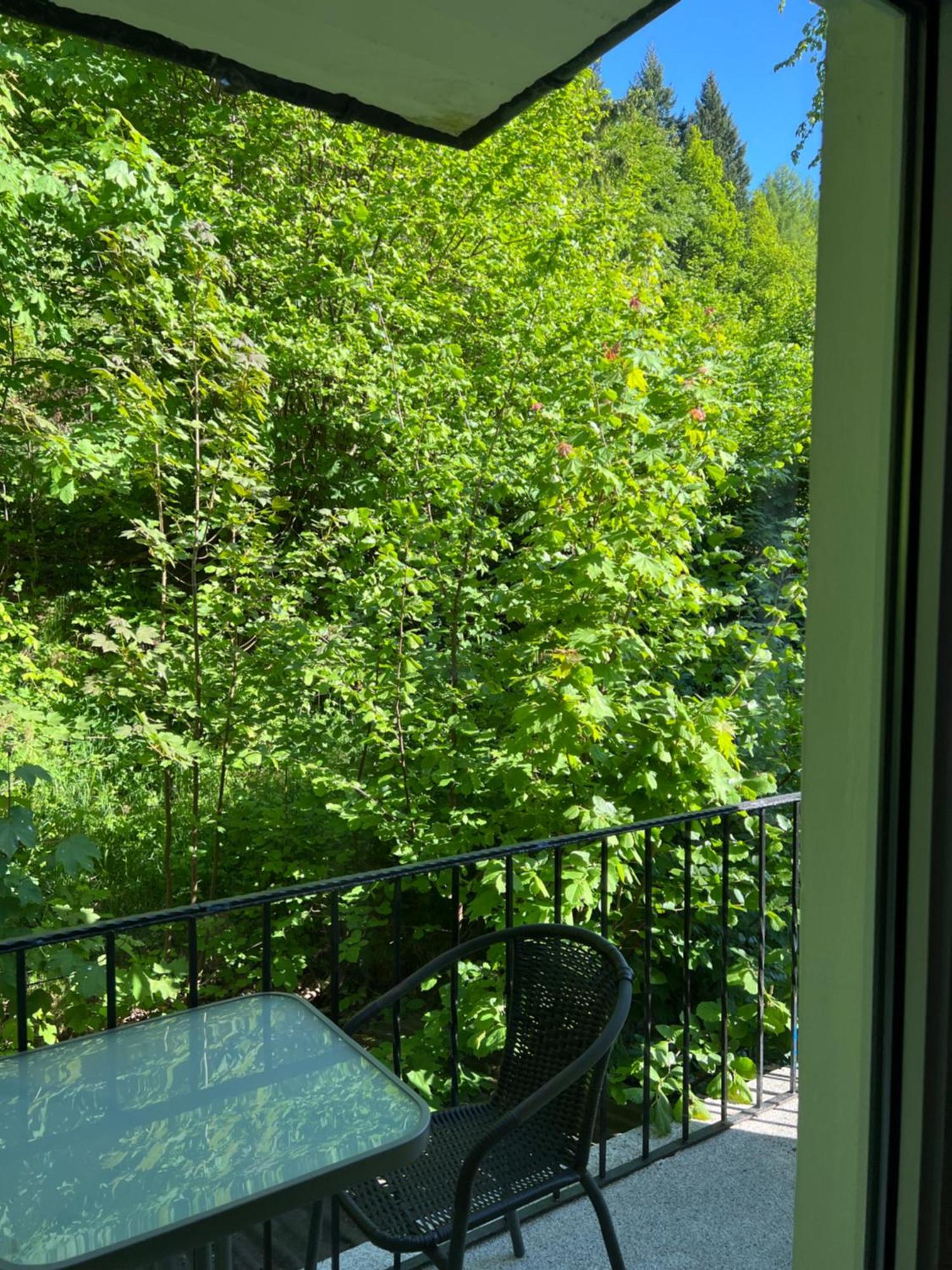 Pension Villa Pangea Bad Lauterberg Exterior photo